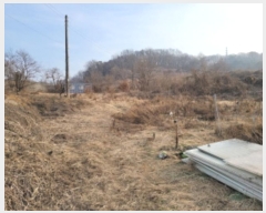  2025Ÿ155     197-1      ()