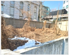  2025Ÿ285  õ һ籸 һ纻 367-26      ()