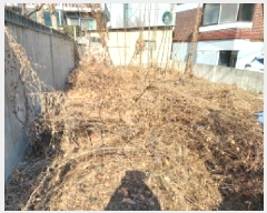  2025Ÿ285  õ һ籸 һ纻 367-26      ()