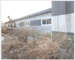  2025Ÿ��1264  ������