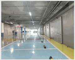  2025Ÿ��3666  ����Ʈ��������