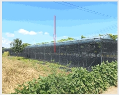  2025Ÿ��3789  �����