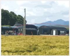  2025Ÿ��3789  �����