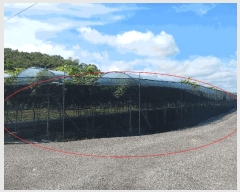  2025Ÿ��3789  �����