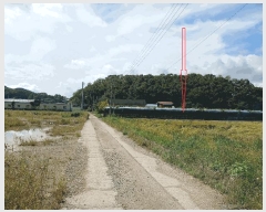  2025Ÿ��3789  �����