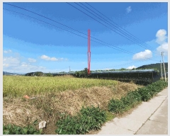  2025Ÿ��3789  �����