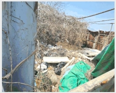  2025Ÿ32692  õ  嵿 78-8      (1)