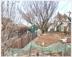  2025Ÿ32692  õ  嵿 78-8      (1)