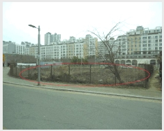  2025Ÿ��33063  ��������