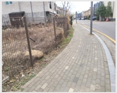  2025Ÿ��33063  ��������