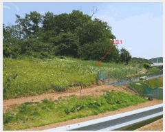  2025Ÿ��33483 ��� ������ �ϼ��� ������ ��12-1      ����(�Ӿ�)���