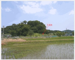  2025Ÿ��33483 ��� ������ �ϼ��� ������ ��12-1      ����(�Ӿ�)���