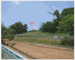  2025Ÿ��33483 ��� ������ �ϼ��� ������ ��12-1      ����(�Ӿ�)���