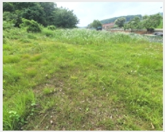  2025Ÿ��33483 ��� ������ �ϼ��� ������ ��12-1      ����(�Ӿ�)���