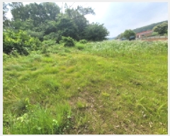  2025Ÿ��33483 ��� ������ �ϼ��� ������ ��12-1      ����(�Ӿ�)���