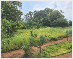  2025Ÿ��33483 ��� ������ �ϼ��� ������ ��12-1      ����(�Ӿ�)���