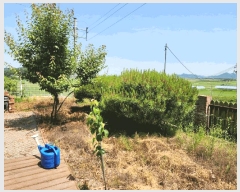  2025Ÿ��33587 ��� ������ �ϼ��� ��ź�� 13-7      ���ð��