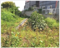  2025Ÿ��34262  �����