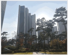  2025Ÿ��34788  ����Ʈ���