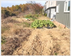  2025Ÿ��34819  �Ӿ߰��