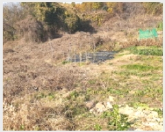  2025Ÿ��34819  �Ӿ߰��