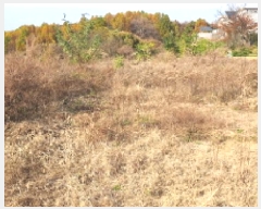  2025Ÿ��34819  �Ӿ߰��