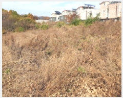  2025Ÿ��34819  �Ӿ߰��