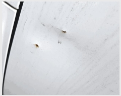  2025Ÿ��34905  �������