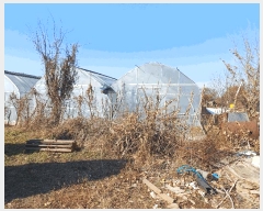  2025Ÿ��35107 ��� ������ ������ ǳ� 493-6      ����(��1)���