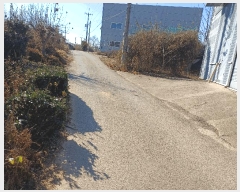  2025Ÿ��35107 ��� ������ ������ ǳ� 493-6      ����(��1)���