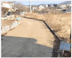  2025Ÿ��35330  �����