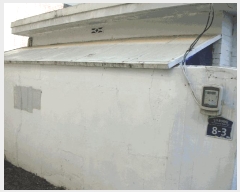  2025Ÿ��537  ���ð��