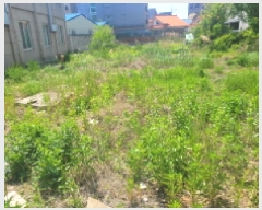  2025Ÿ1585     388-18      ()