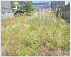  2025Ÿ1585     388-18      ()