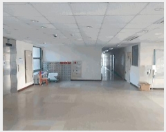  2025Ÿ��31142 ��� ������ ������ ������ 100      ������