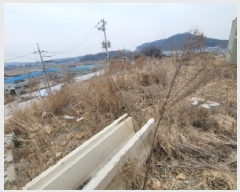  2025Ÿ��32774 ��� ������ ����� ����� 241-5      ����(�Ӿ�)���