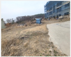  2025Ÿ��32774 ��� ������ ����� ����� 241-5      ����(�Ӿ�)���