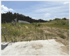  2025Ÿ33938     20-54      (Ӿ)