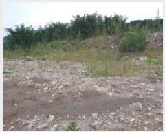  2025Ÿ33938     20-54      (Ӿ)