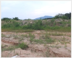  2025Ÿ33938     20-54      (Ӿ)