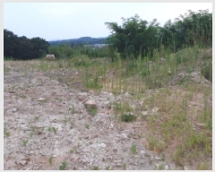  2025Ÿ33938     20-54      (Ӿ)