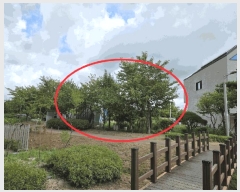  2025Ÿ��34155  �������