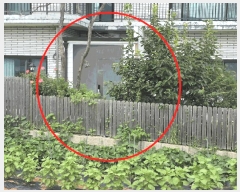  2025Ÿ��34199 ��� ������ ������ ������ 296-20      ���ð��