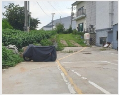  2025Ÿ��34199 ��� ������ ������ ������ 296-20      ���ð��