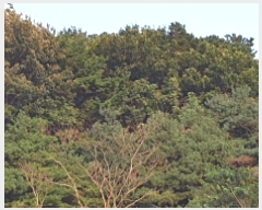  2025Ÿ��34233 ��� ������ ����� �뺮�� 654-7      ����(�Ӿ�)���