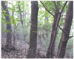  2025Ÿ��34233 ��� ������ ����� �뺮�� 654-7      ����(�Ӿ�)���