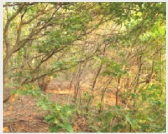  2025Ÿ��34233 ��� ������ ����� �뺮�� 654-7      ����(�Ӿ�)���