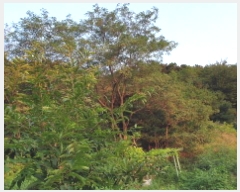  2025Ÿ��34233 ��� ������ ����� �뺮�� 654-7      ����(�Ӿ�)���