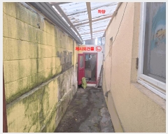  2025Ÿ��34298 ��� ��õ�� ���̱� ��� 52-11 ��������     �����ڽü����