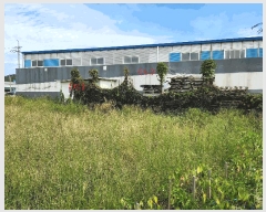  2025Ÿ��34328 ��� ������ ����� �뺮�� 1019-4      ������